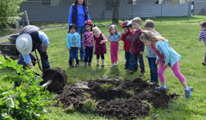 Kids watching tree get planted